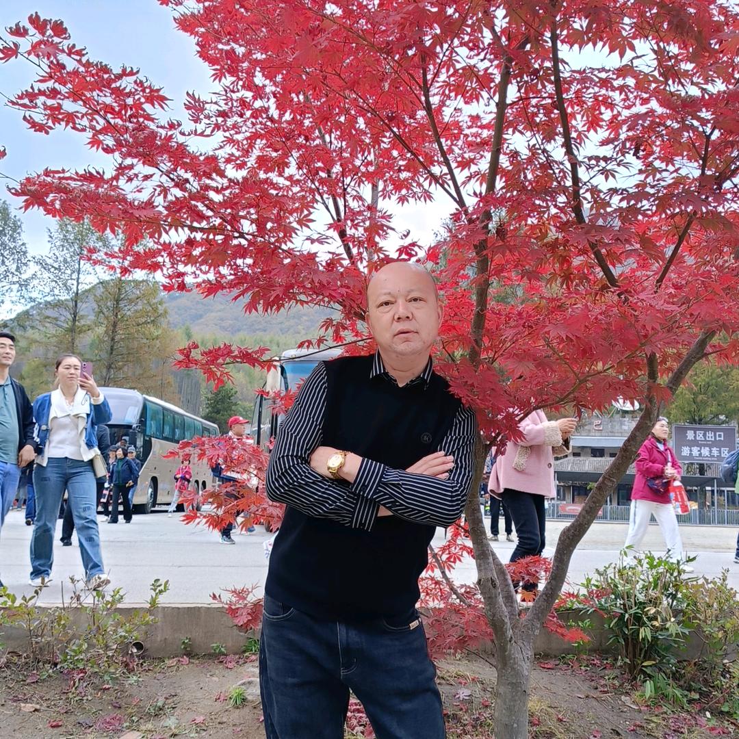 非诚勿拢