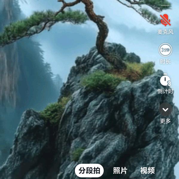 侠