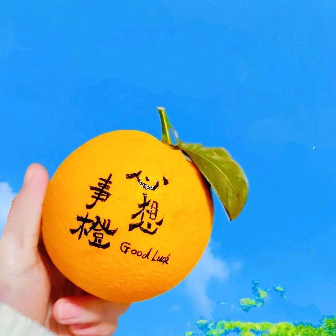 芳芳