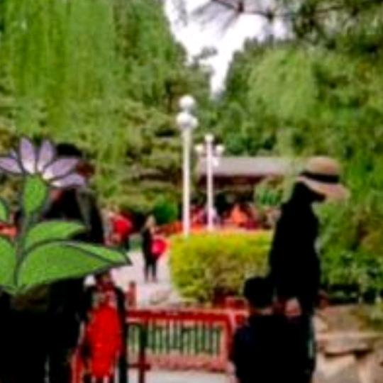 往事难忘，