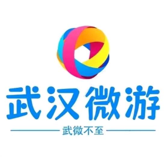 武汉微游