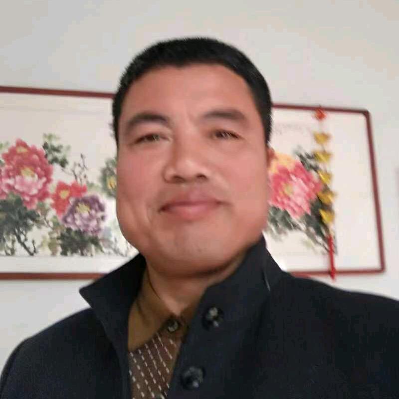 滨州棣鸣卵枝批发