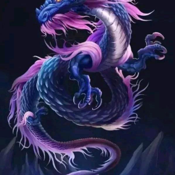 龙的～传人