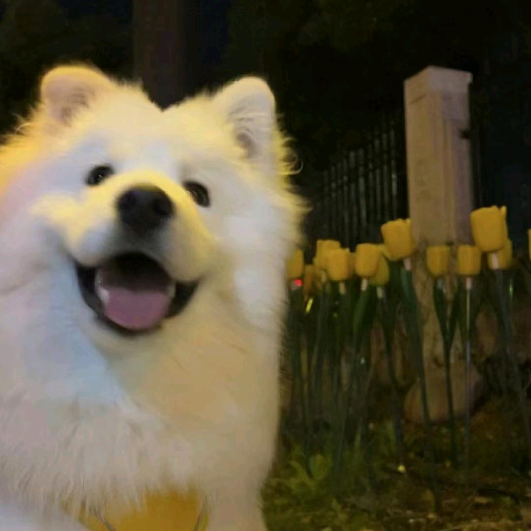 好事发生