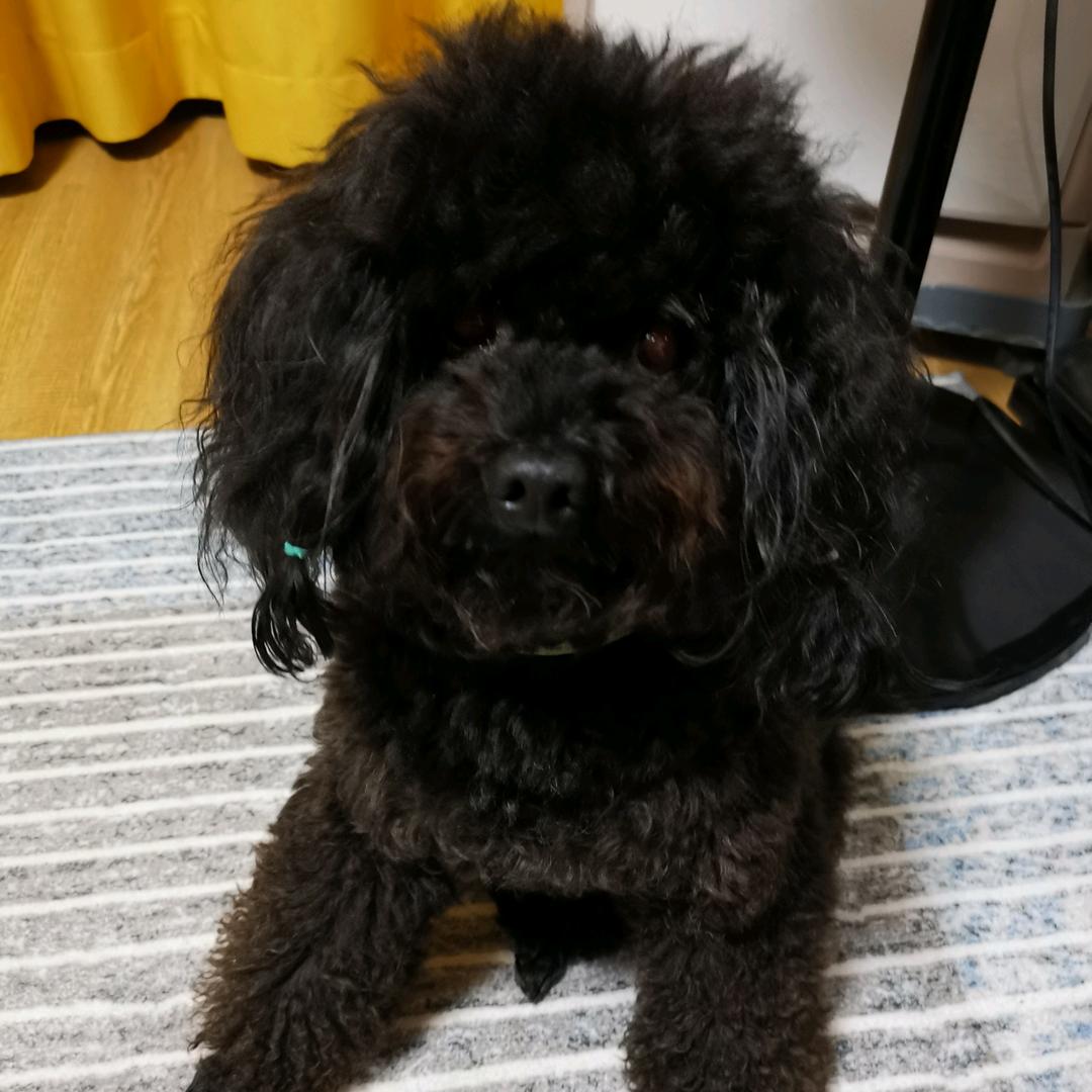 上海榆源贸易有限公司