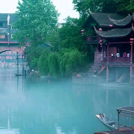 真情永不变