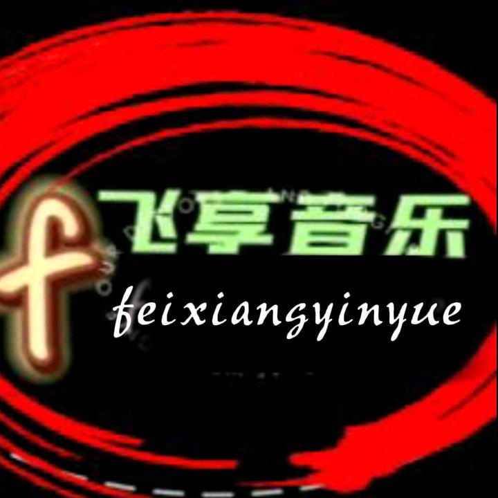 飞享音乐