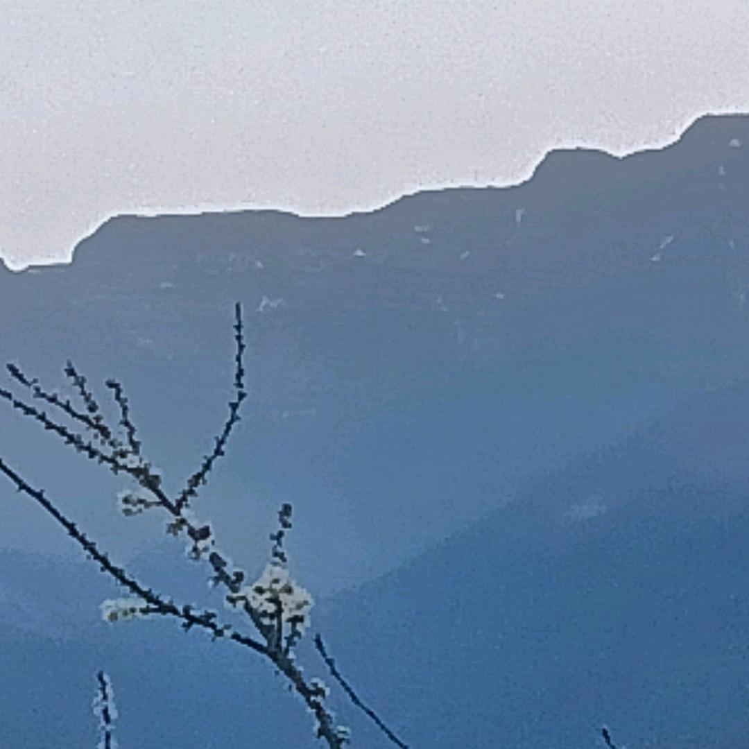 白嫖