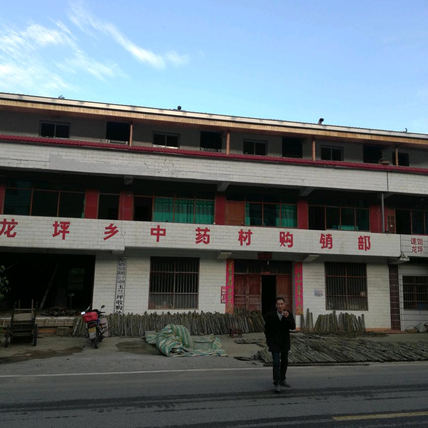 建始龙坪乡中药材购销部