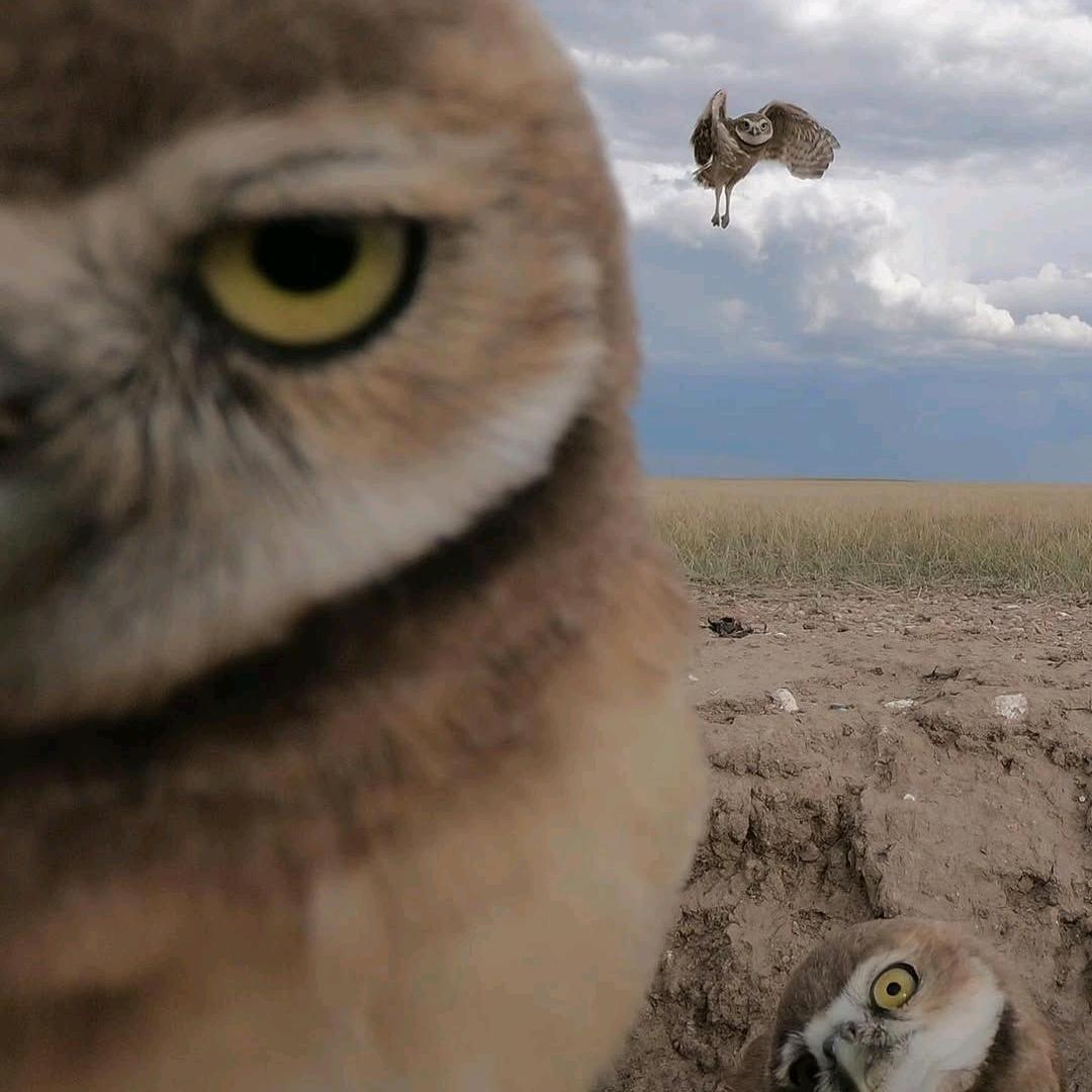 Mdmadrugeuphoricrush