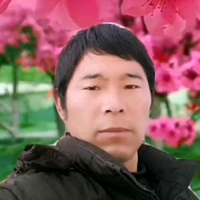 真诚🌷