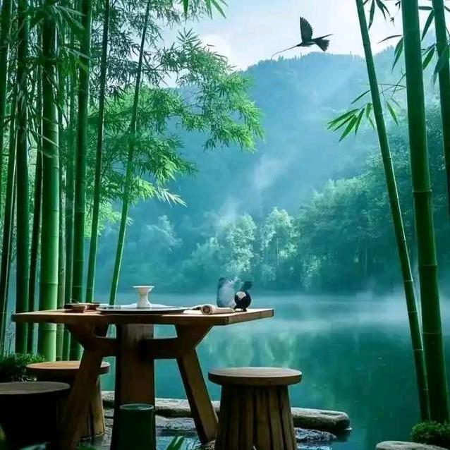 听雨🌲