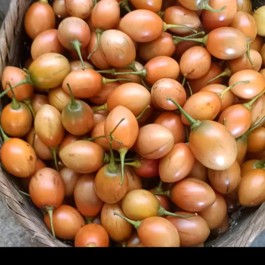 坤，林。家庭农业