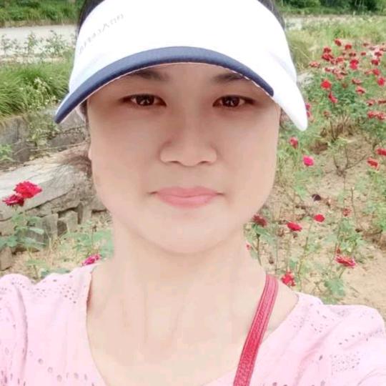 走散的就不要再重逢了。本人单身