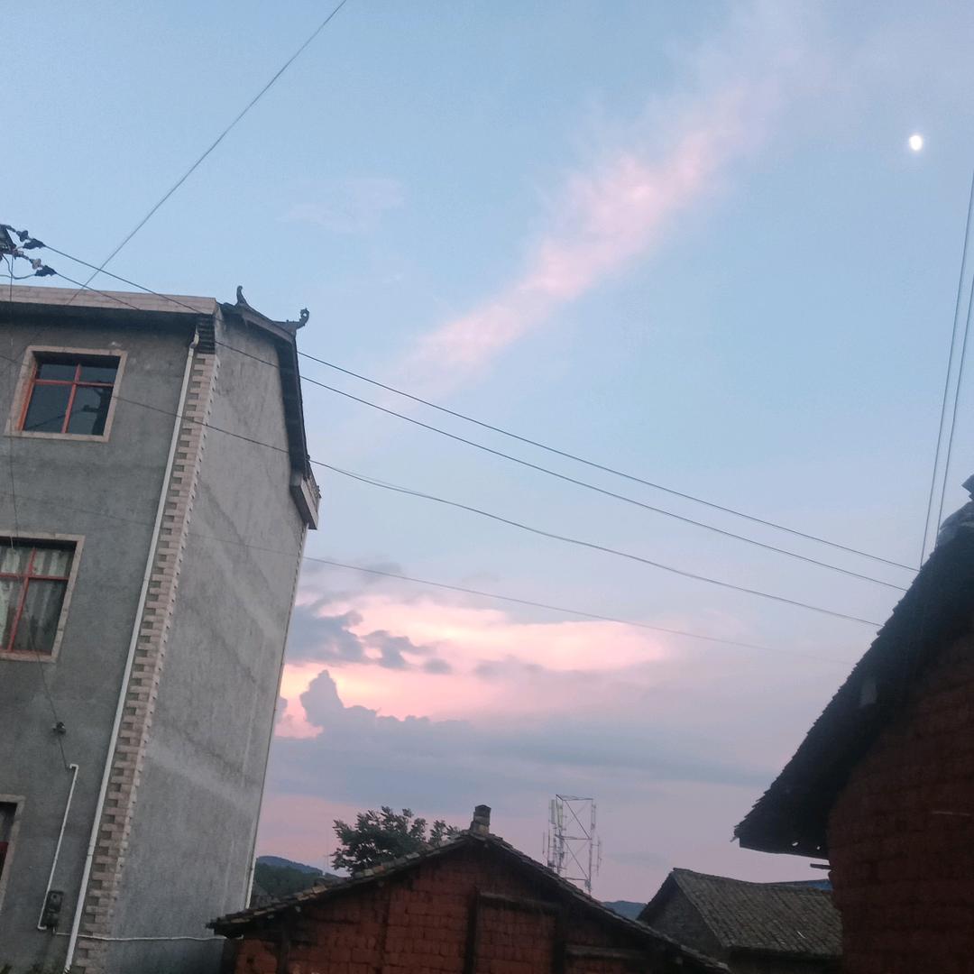 金东海