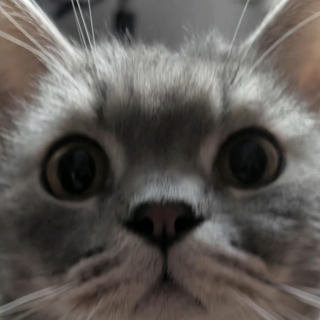 ฅ