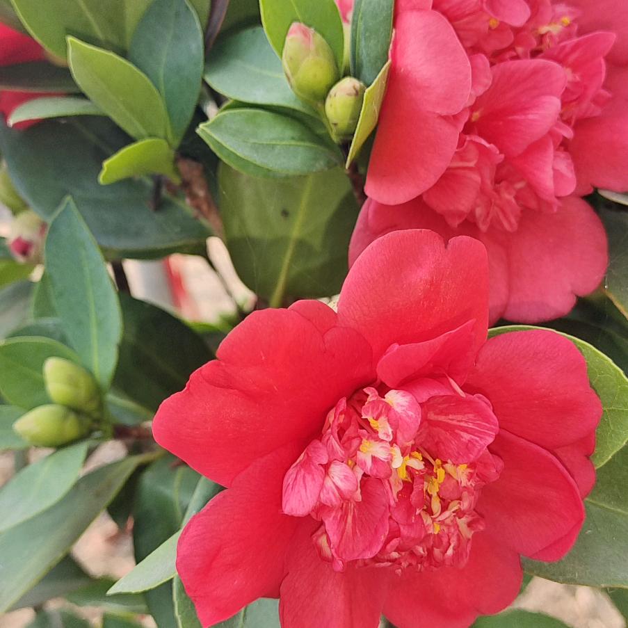 观堂南头水电设计，施工，室内外装修