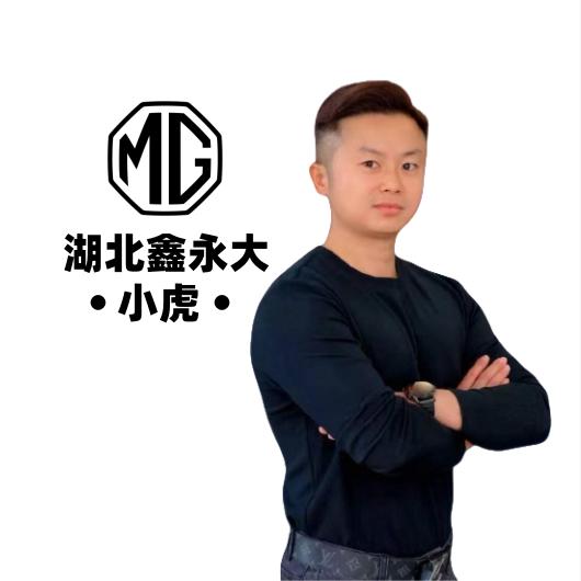 武汉上汽名爵鑫永大（小虎）