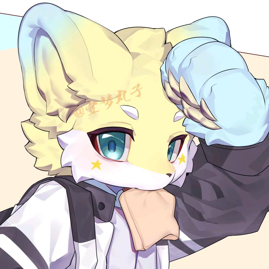 壹梦丸子