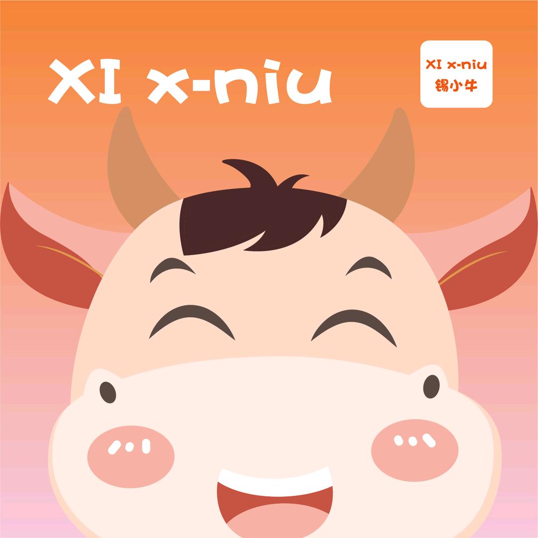 锡小兔宣传画册设计