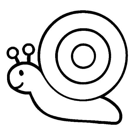 蜗牛🐌