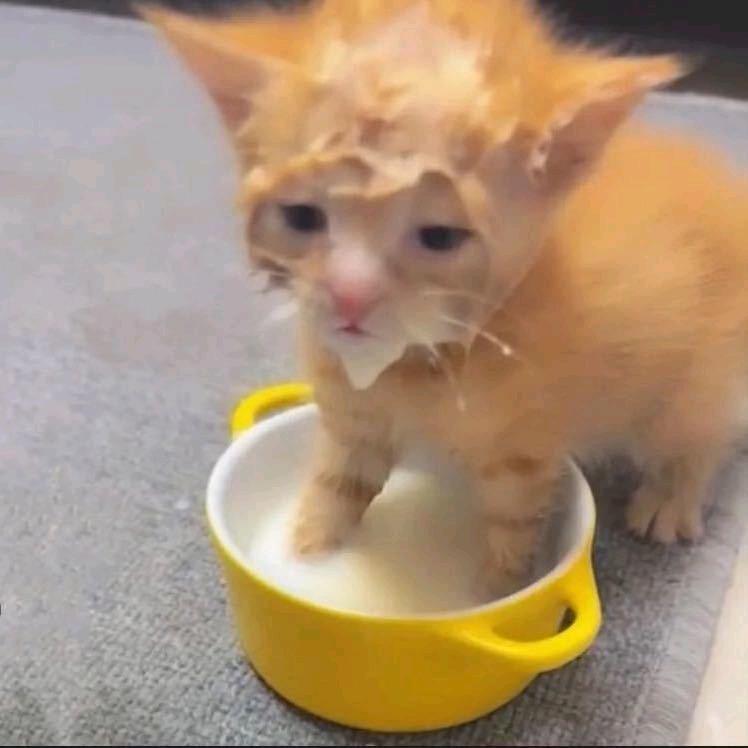 想