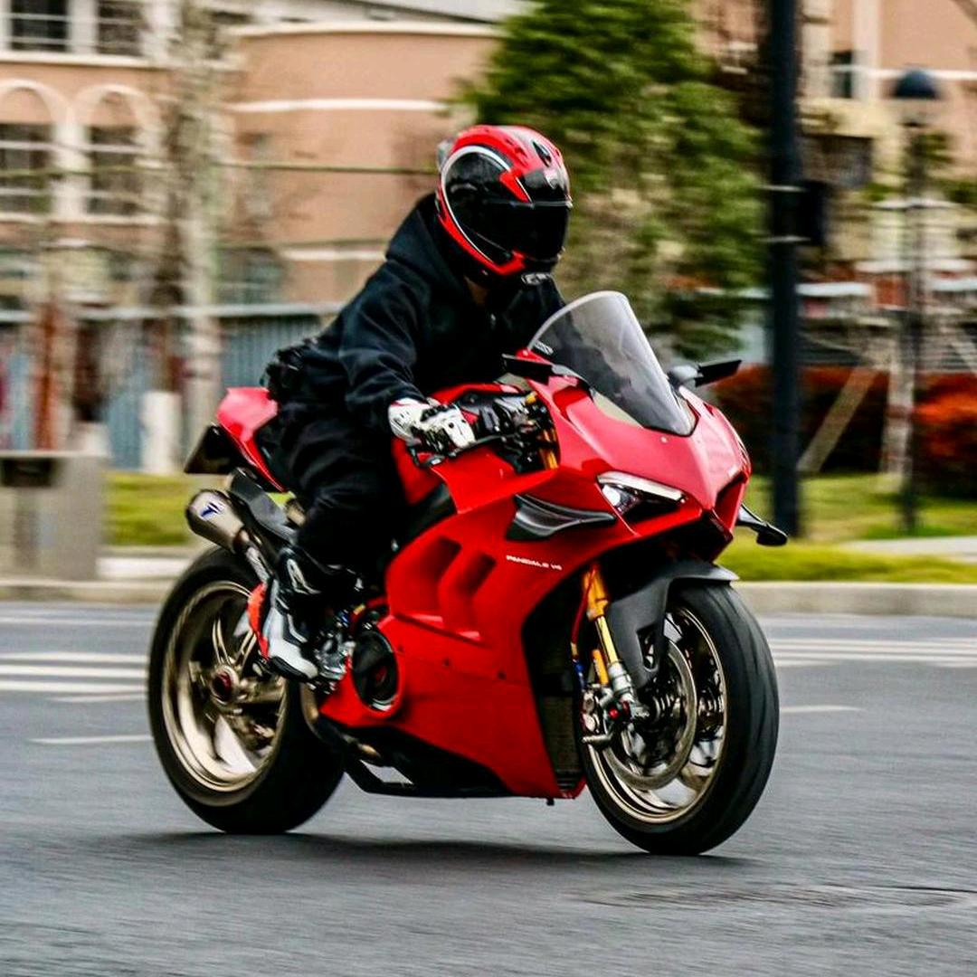 犯困小狗