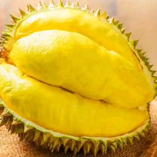 祝果果品