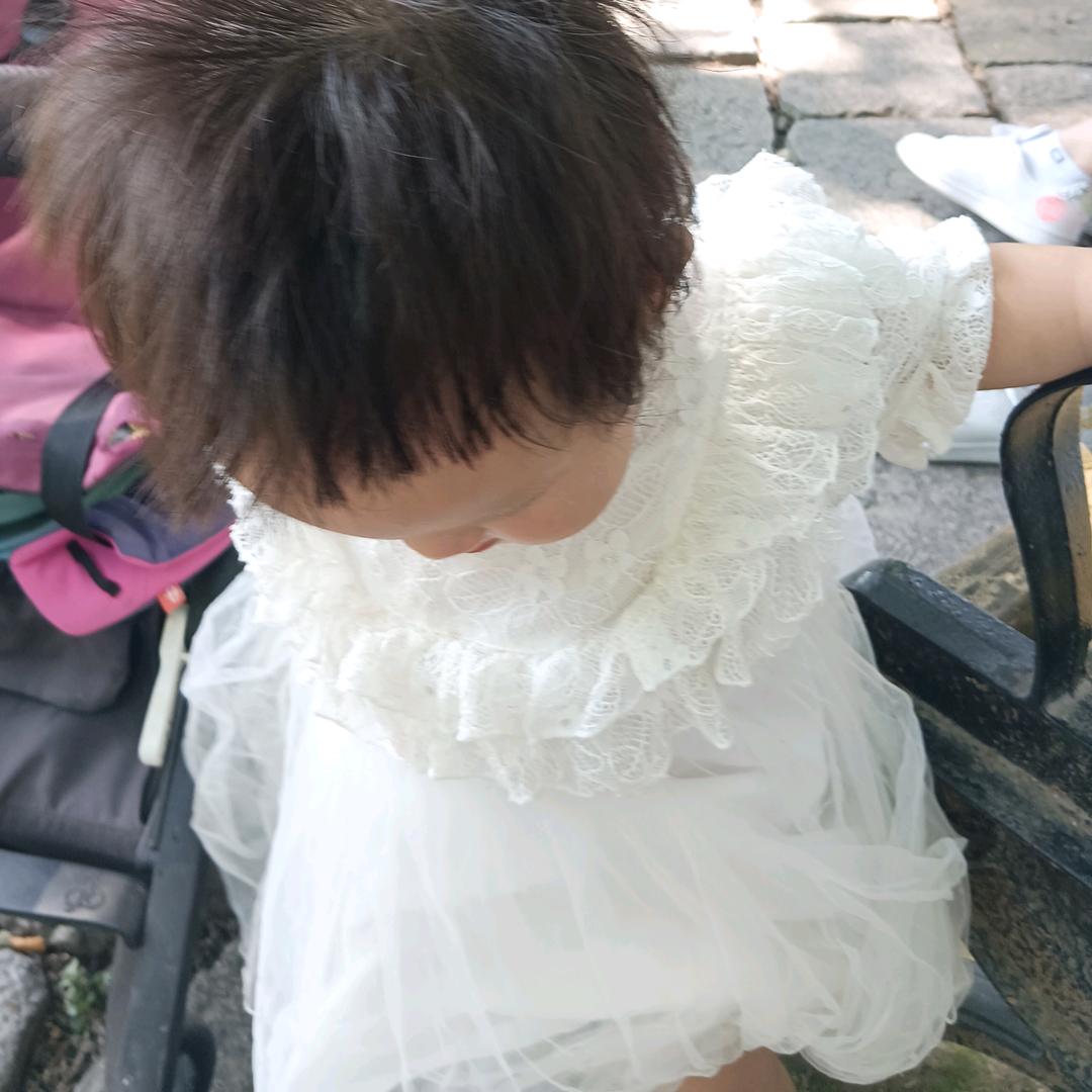张合生