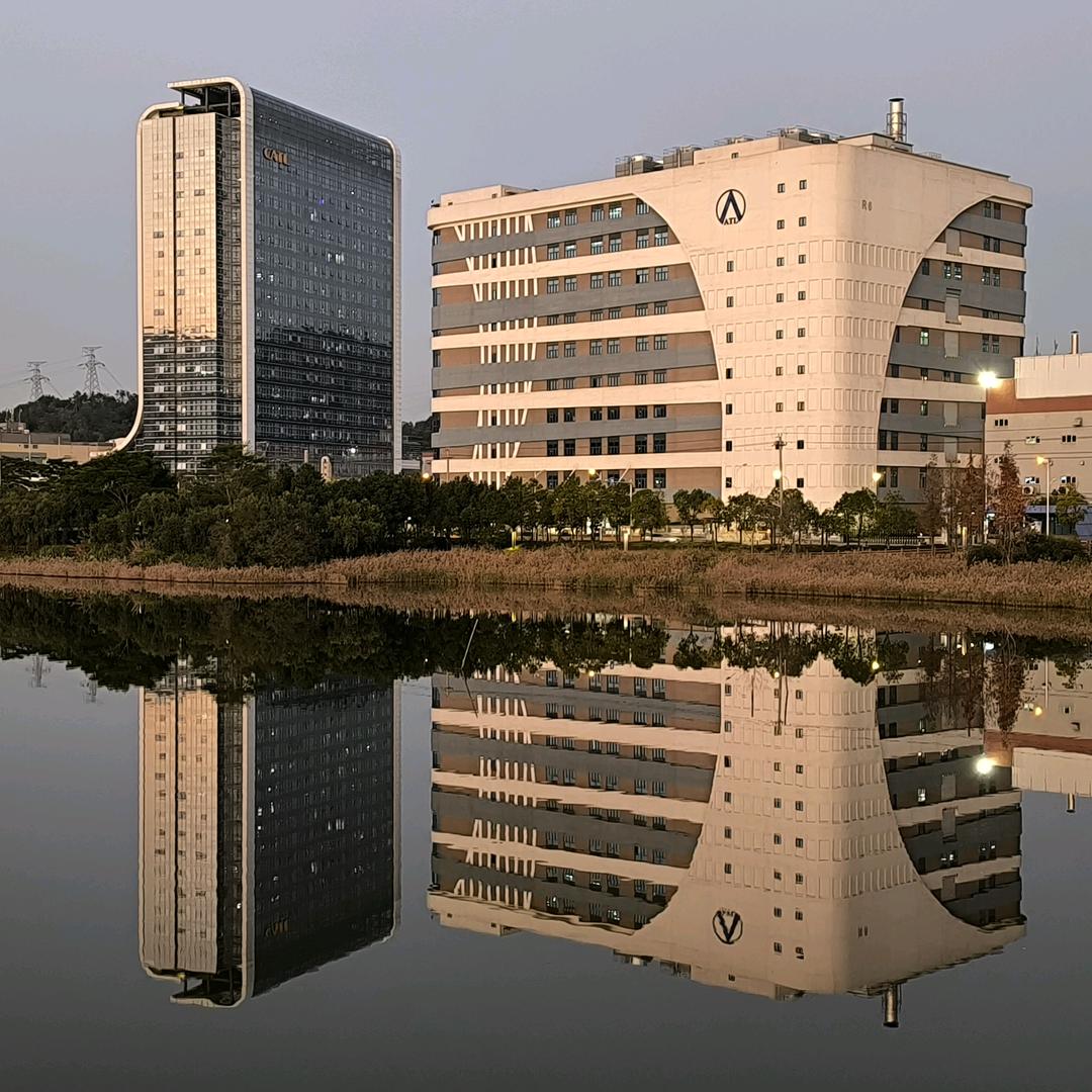 阿罗海金
