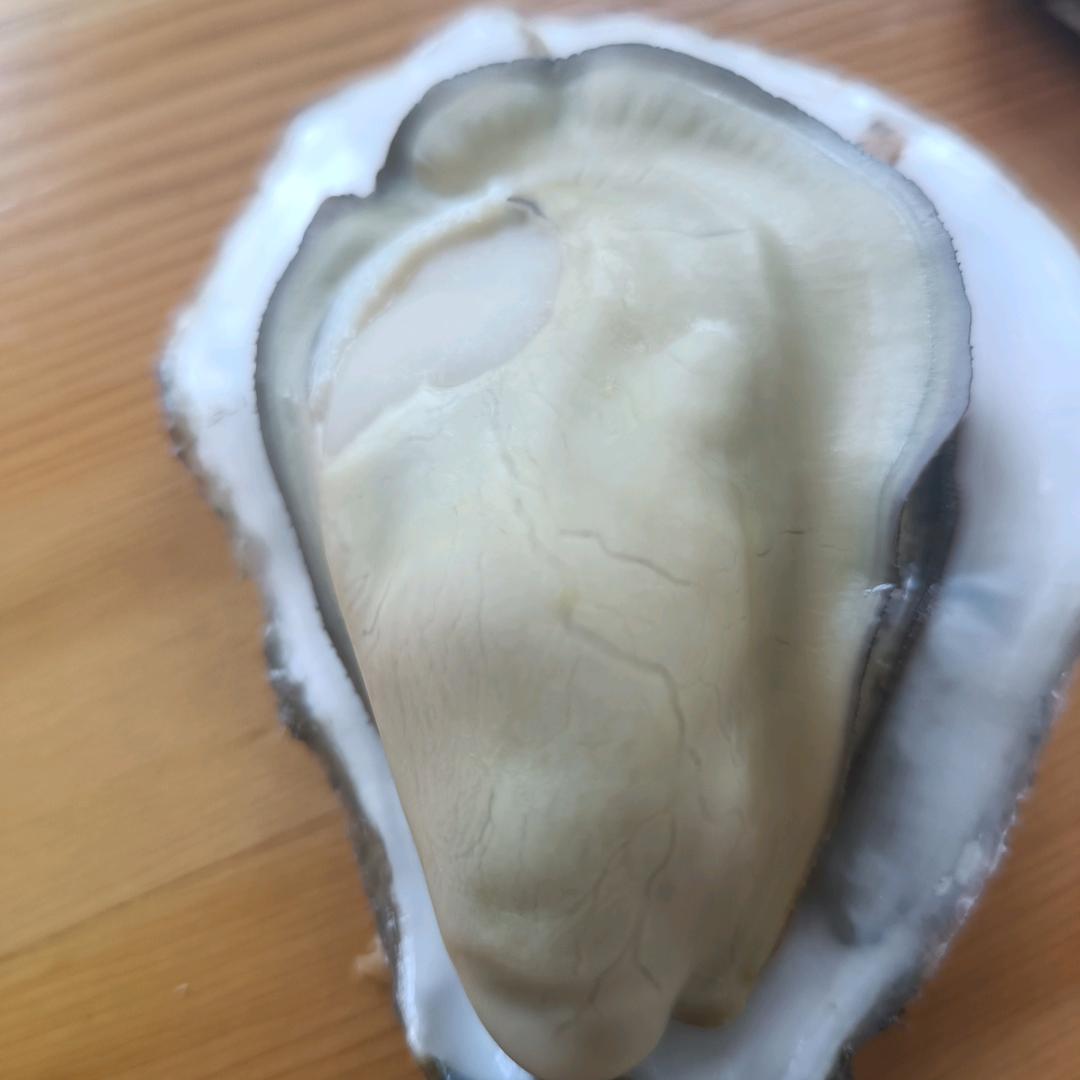 蚝有滋味