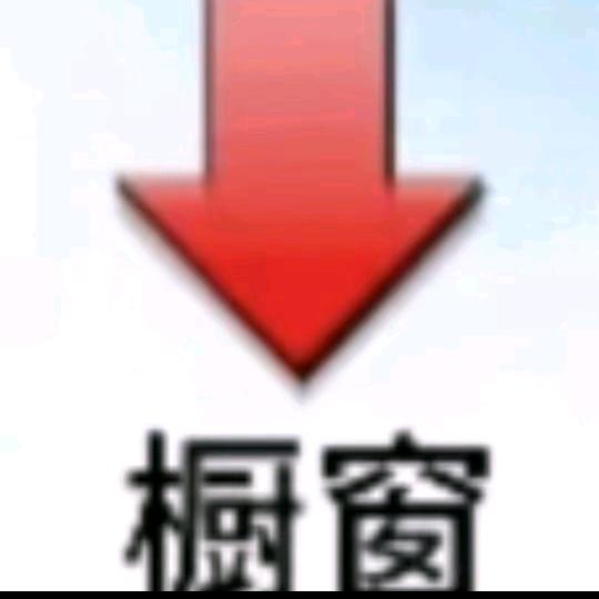 向阳1313