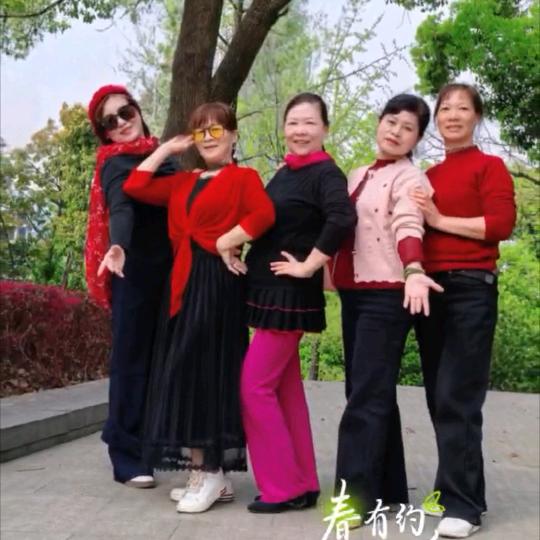 紫罗兰