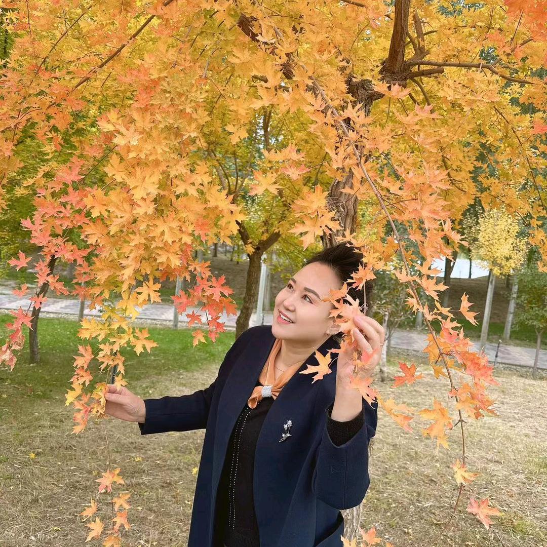 郁金香的芬芳