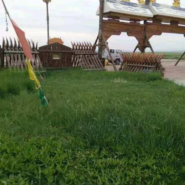 牧民柱哥