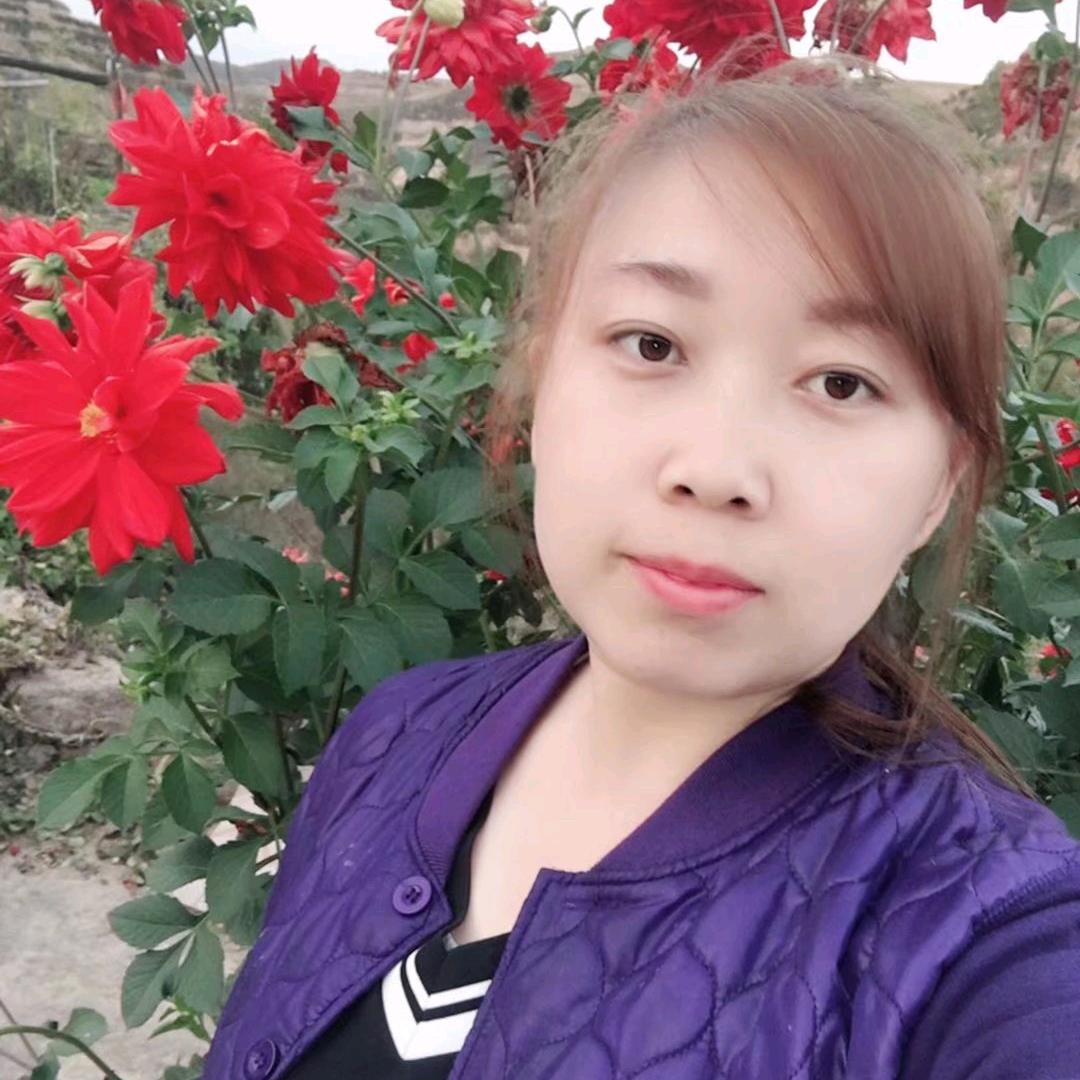 小鱼儿