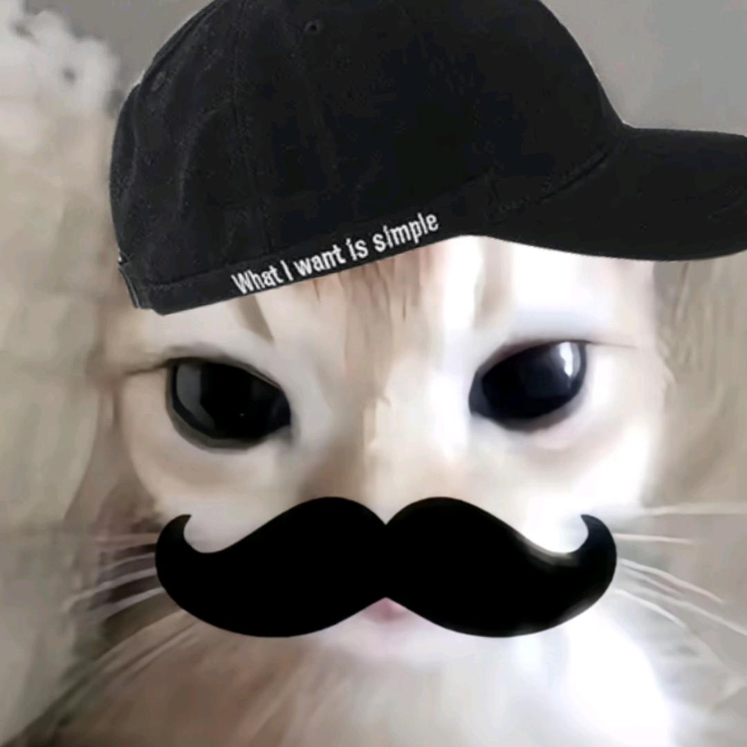 我不是小帅ㅤ