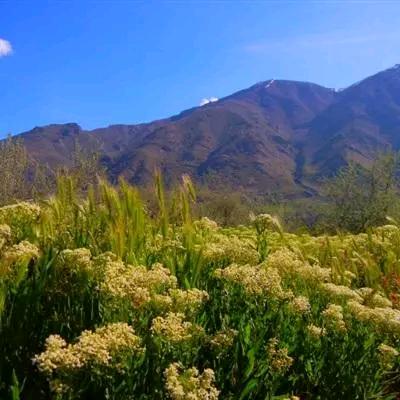岁月