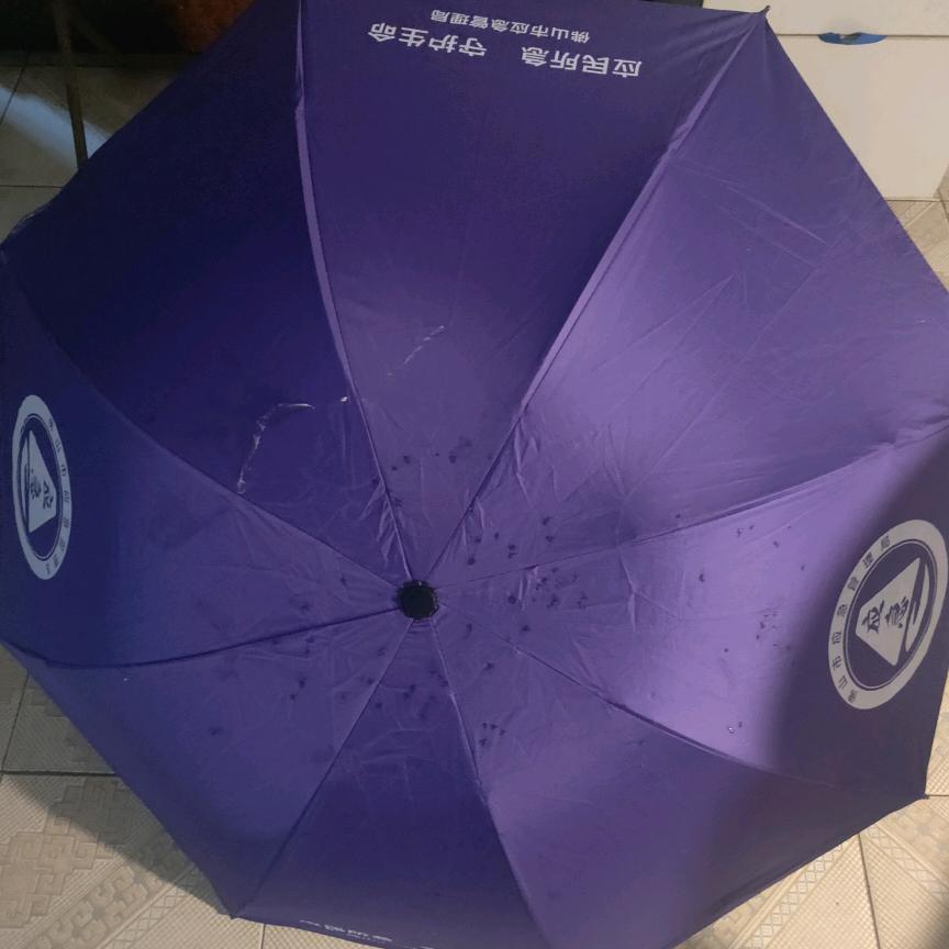 傲雪凌霜