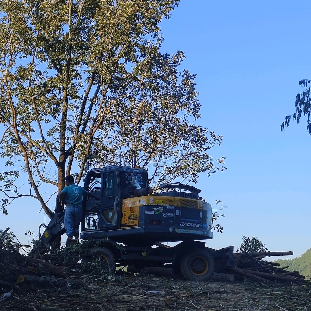 喜洋洋抓木机（红星团队）啊贵