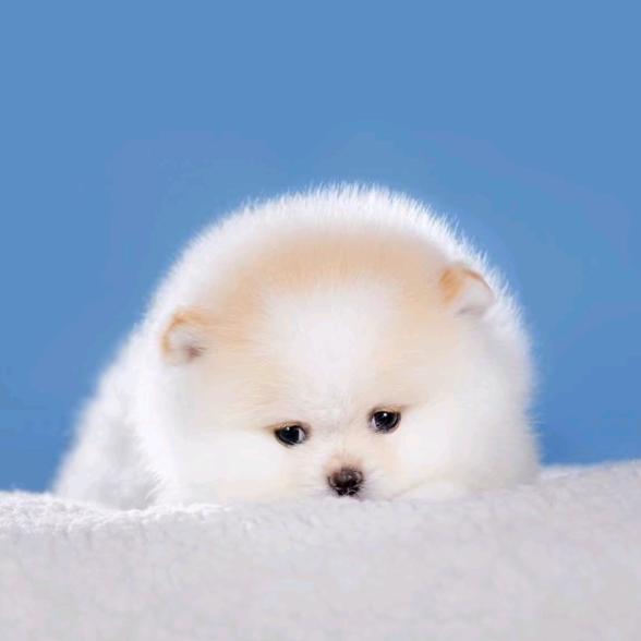 明慧