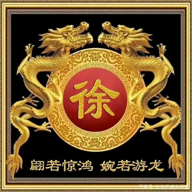 免子∴