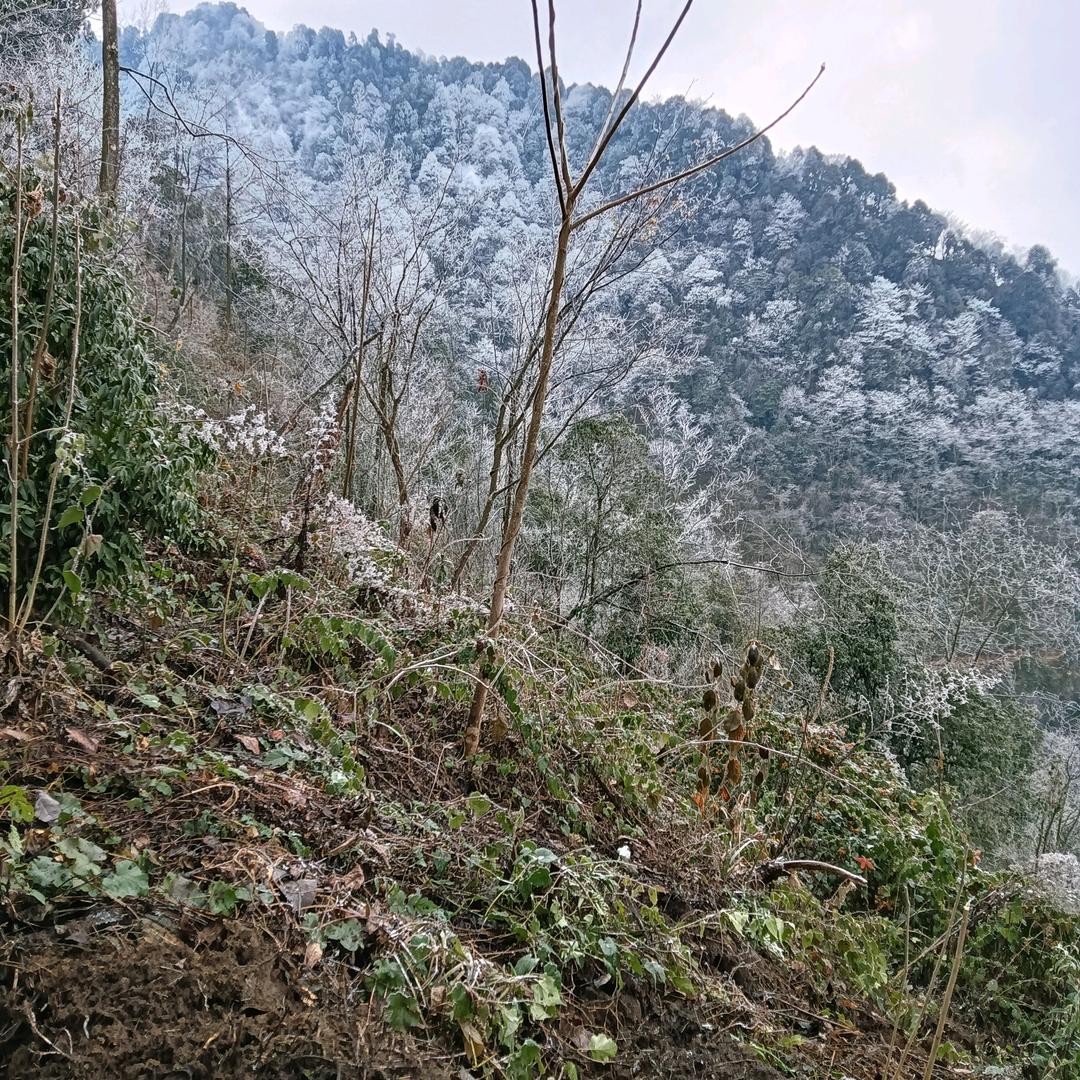 幸福自然来