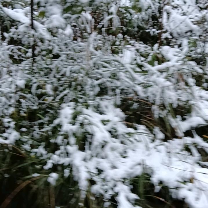 人在江湖，身不由己。