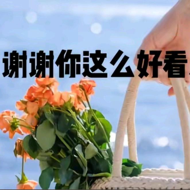 猫姐