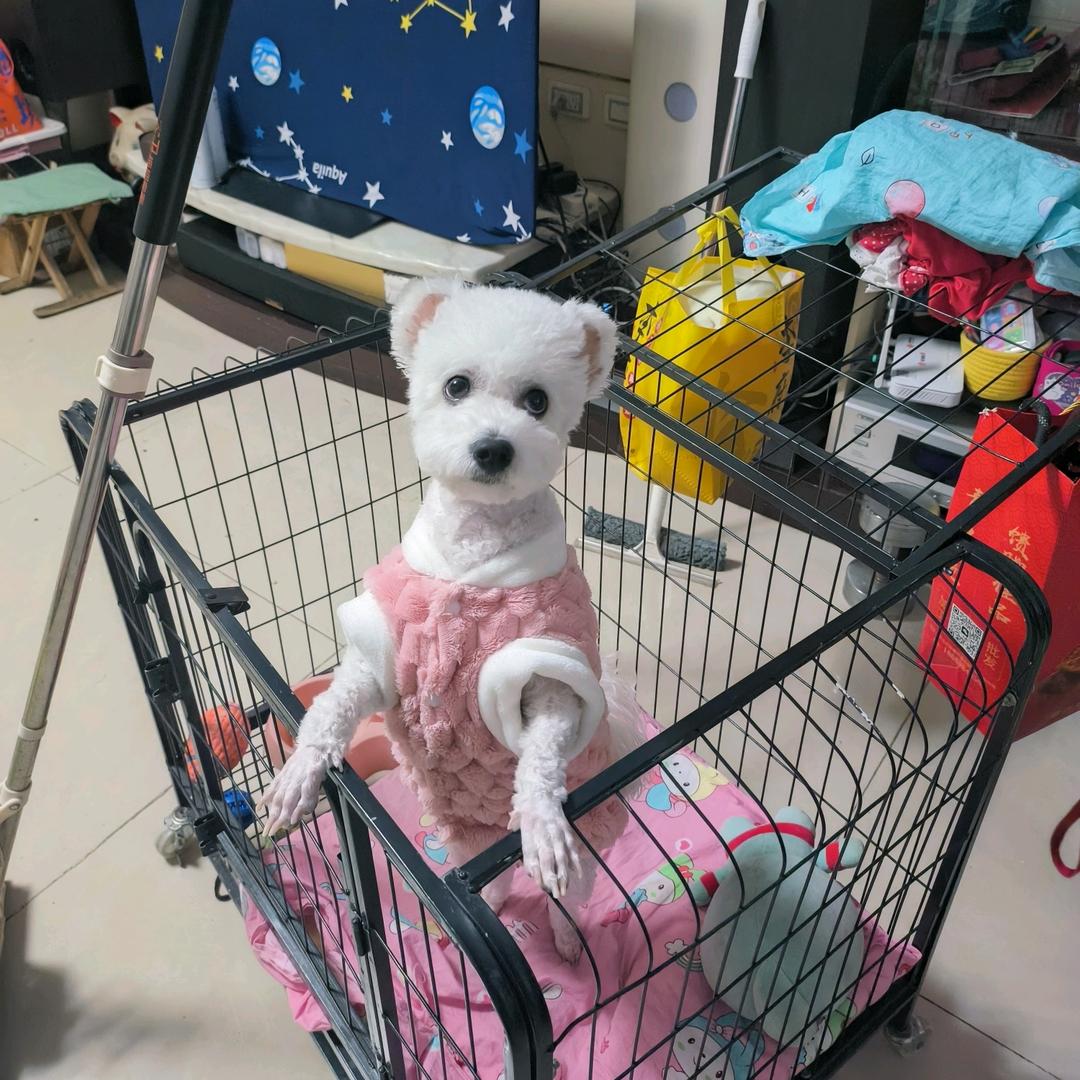 么么哒＾3＾