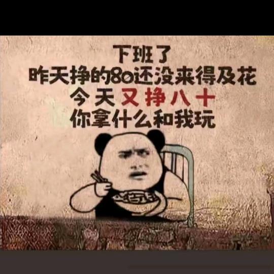 洋葱头（苗木供应）