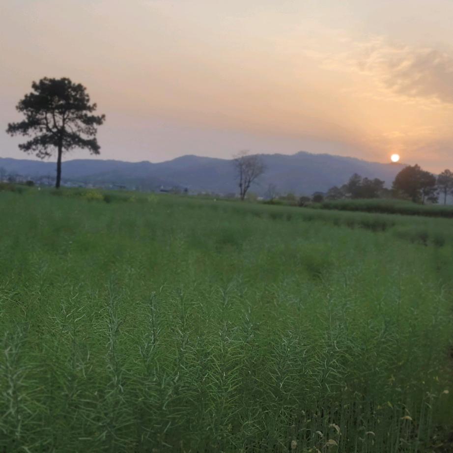 🥀⃟错把᭄敷衍ꦻ当承诺ꦿᭁ