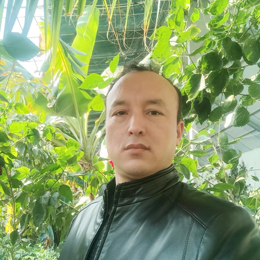托合提8148