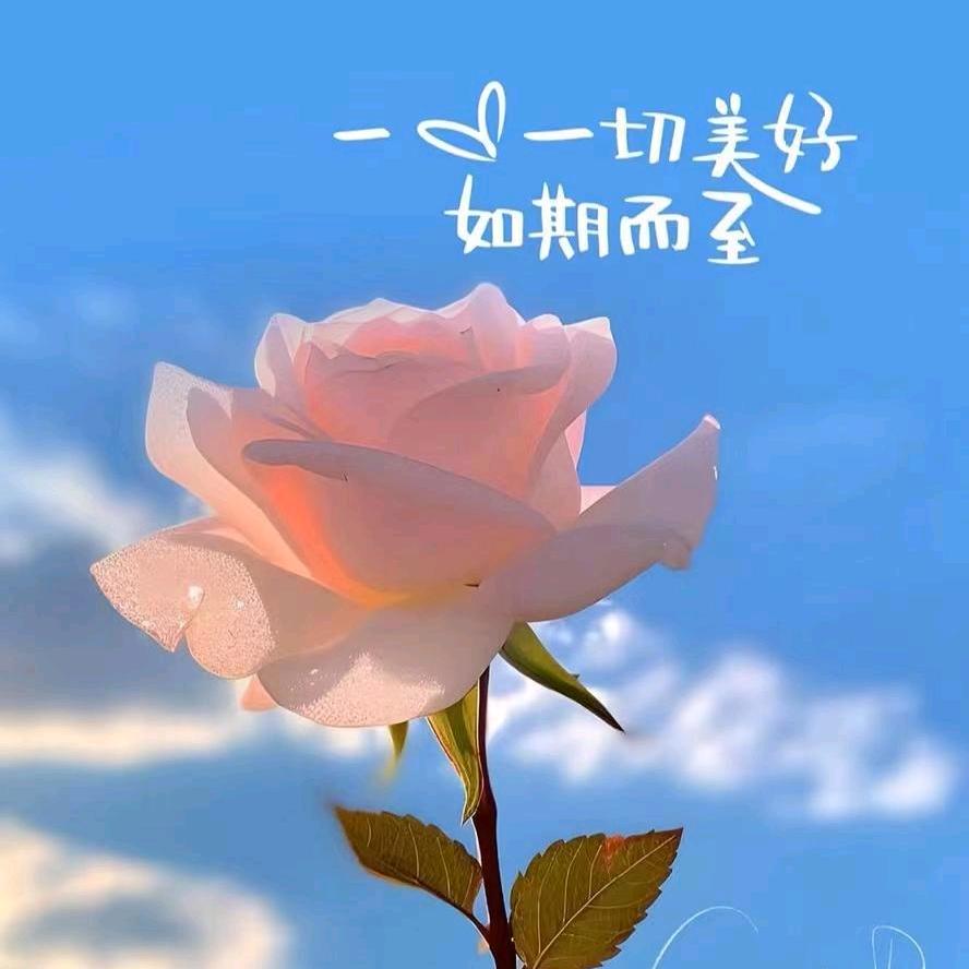 洁